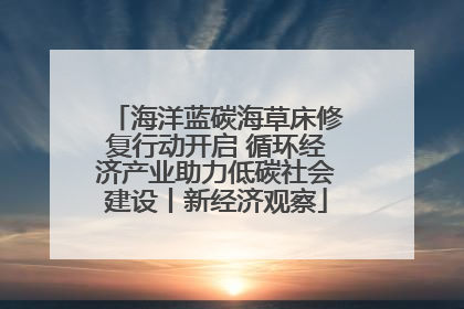海洋蓝碳海草床修复行动开启 循环经济产业助力低碳社会建设丨新经济观察
