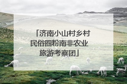 济南小山村乡村民俗圈粉南非农业旅游考察团