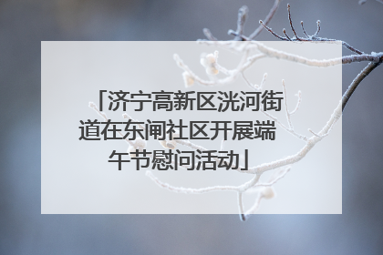 济宁高新区洸河街道在东闸社区开展端午节慰问活动