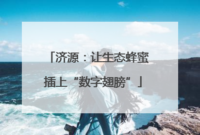 济源：让生态蜂蜜插上“数字翅膀”