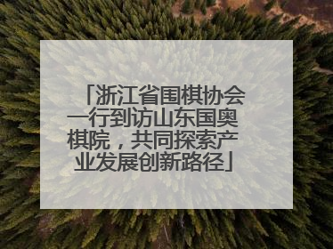 浙江省围棋协会一行到访山东国奥棋院，共同探索产业发展创新路径