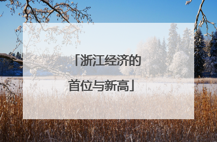 浙江经济的首位与新高