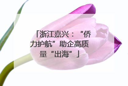 浙江嘉兴：“侨力护航”助企高质量“出海”