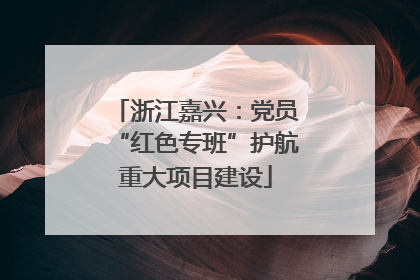 浙江嘉兴：党员“红色专班”护航重大项目建设