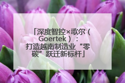 深度智控×歌尔（Goertek）：打造越南制造业“零碳”跃迁新标杆