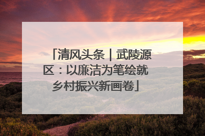 清风头条｜武陵源区：以廉洁为笔绘就乡村振兴新画卷