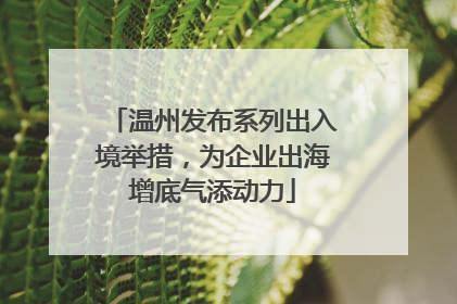 温州发布系列出入境举措，为企业出海增底气添动力
