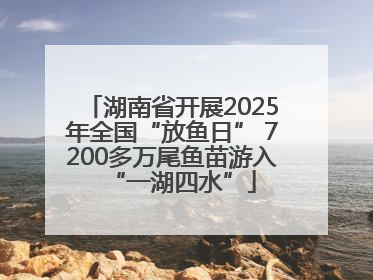湖南省开展2025年全国“放鱼日” 7200多万尾鱼苗游入“一湖四水”