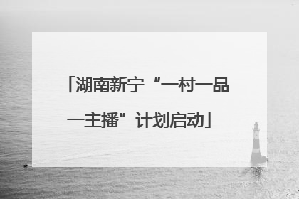 湖南新宁“一村一品一主播”计划启动