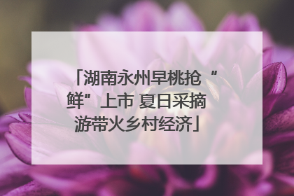 湖南永州早桃抢“鲜”上市 夏日采摘游带火乡村经济