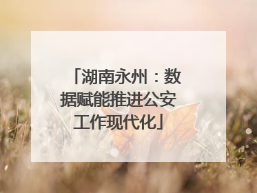 湖南永州：数据赋能推进公安工作现代化