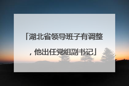 湖北省领导班子有调整，他出任党组副书记