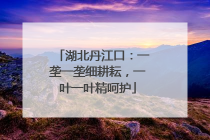 湖北丹江口：一垄一垄细耕耘，一叶一叶精呵护