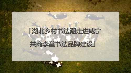 湖北乡村书法潮走进咸宁 共商李邕书法品牌建设
