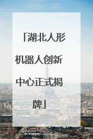 湖北人形机器人创新中心正式揭牌