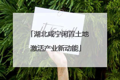 湖北咸宁闲置土地激活产业新动能