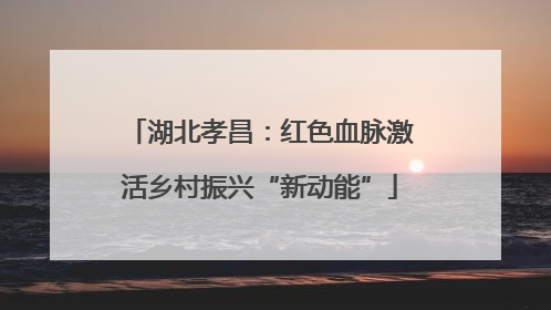 湖北孝昌：红色血脉激活乡村振兴“新动能”