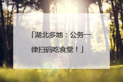 湖北多地：公务一律扫码吃食堂！
