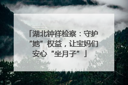 湖北钟祥检察：守护“她”权益，让宝妈们安心“坐月子”