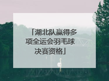 湖北队赢得多项全运会羽毛球决赛资格