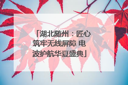 湖北随州：匠心筑牢无线屏障 电波护航华夏盛典