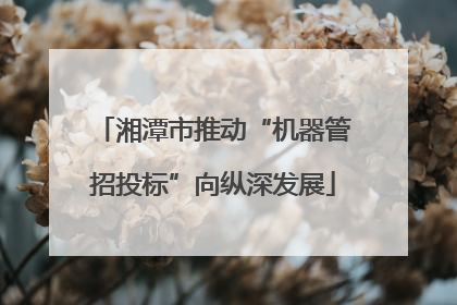 湘潭市推动“机器管招投标”向纵深发展