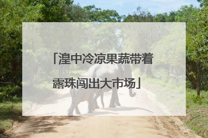 湟中冷凉果蔬带着露珠闯出大市场