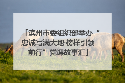 滨州市委组织部举办“忠诚写满大地·榜样引领前行”党课故事汇
