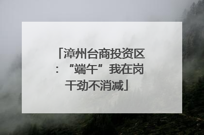 漳州台商投资区：“端午”我在岗 干劲不消减