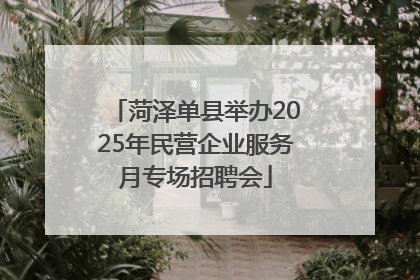 菏泽单县举办2025年民营企业服务月专场招聘会