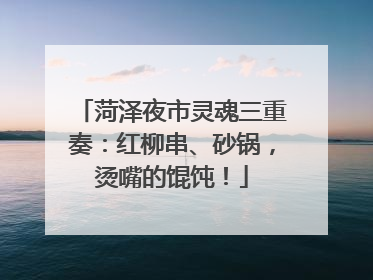 菏泽夜市灵魂三重奏：红柳串、砂锅，烫嘴的馄饨！