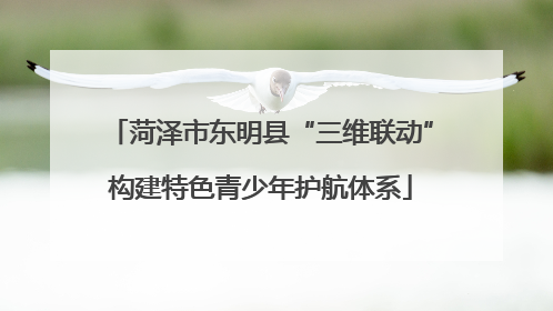 菏泽市东明县“三维联动”构建特色青少年护航体系