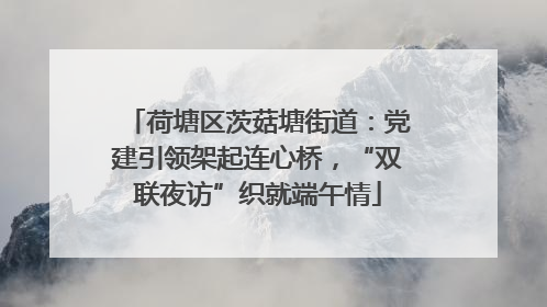 荷塘区茨菇塘街道：党建引领架起连心桥，“双联夜访”织就端午情