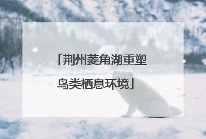 荆州菱角湖重塑鸟类栖息环境