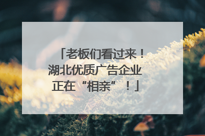 老板们看过来！湖北优质广告企业正在“相亲”！