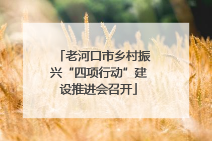 老河口市乡村振兴“四项行动”建设推进会召开