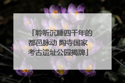 聆听沉睡四千年的都邑脉动 陶寺国家考古遗址公园揭牌