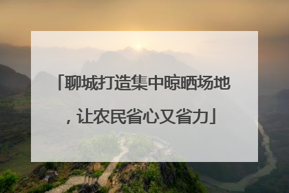 聊城打造集中晾晒场地，让农民省心又省力