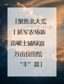 聚焦北大荒丨延军农场新苗破土铺绿浪 万亩良田绘“丰”景