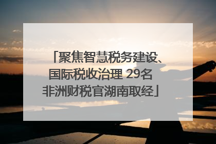 聚焦智慧税务建设、国际税收治理 29名非洲财税官湖南取经