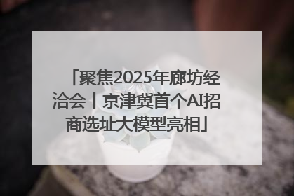 聚焦2025年廊坊经洽会丨京津冀首个AI招商选址大模型亮相
