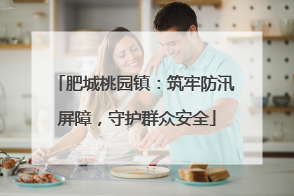 肥城桃园镇：筑牢防汛屏障，守护群众安全