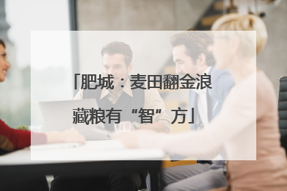 肥城：麦田翻金浪藏粮有“智”方