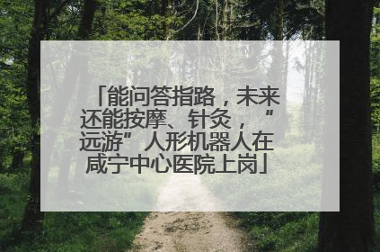 能问答指路，未来还能按摩、针灸，“远游”人形机器人在咸宁中心医院上岗