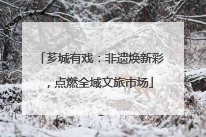 芗城有戏：非遗焕新彩，点燃全域文旅市场