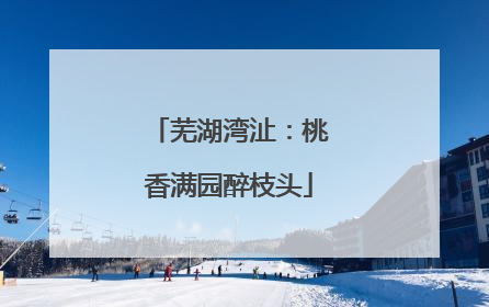 芜湖湾沚：桃香满园醉枝头
