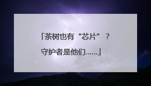 茶树也有“芯片”?守护者是他们……