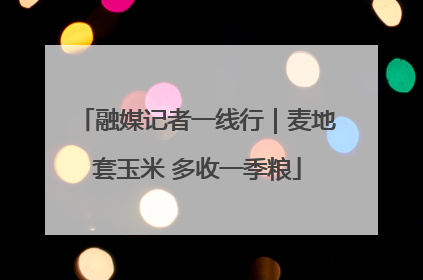融媒记者一线行｜麦地套玉米 多收一季粮