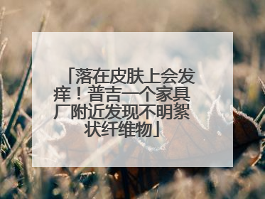 落在皮肤上会发痒！普吉一个家具厂附近发现不明絮状纤维物