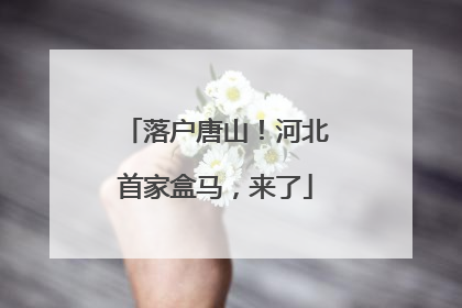 落户唐山！河北首家盒马，来了